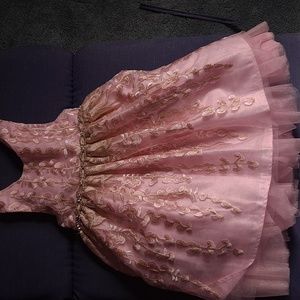 Pink & Gold dress